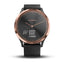 Garmin Vivomove HR, Sport