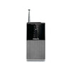 Portable Radio (AE1530/00)